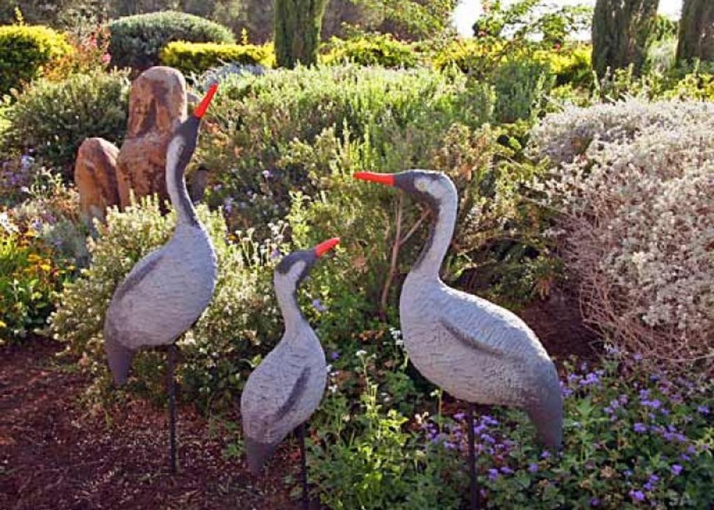Musical Garden Cabins Ramot Quarto foto